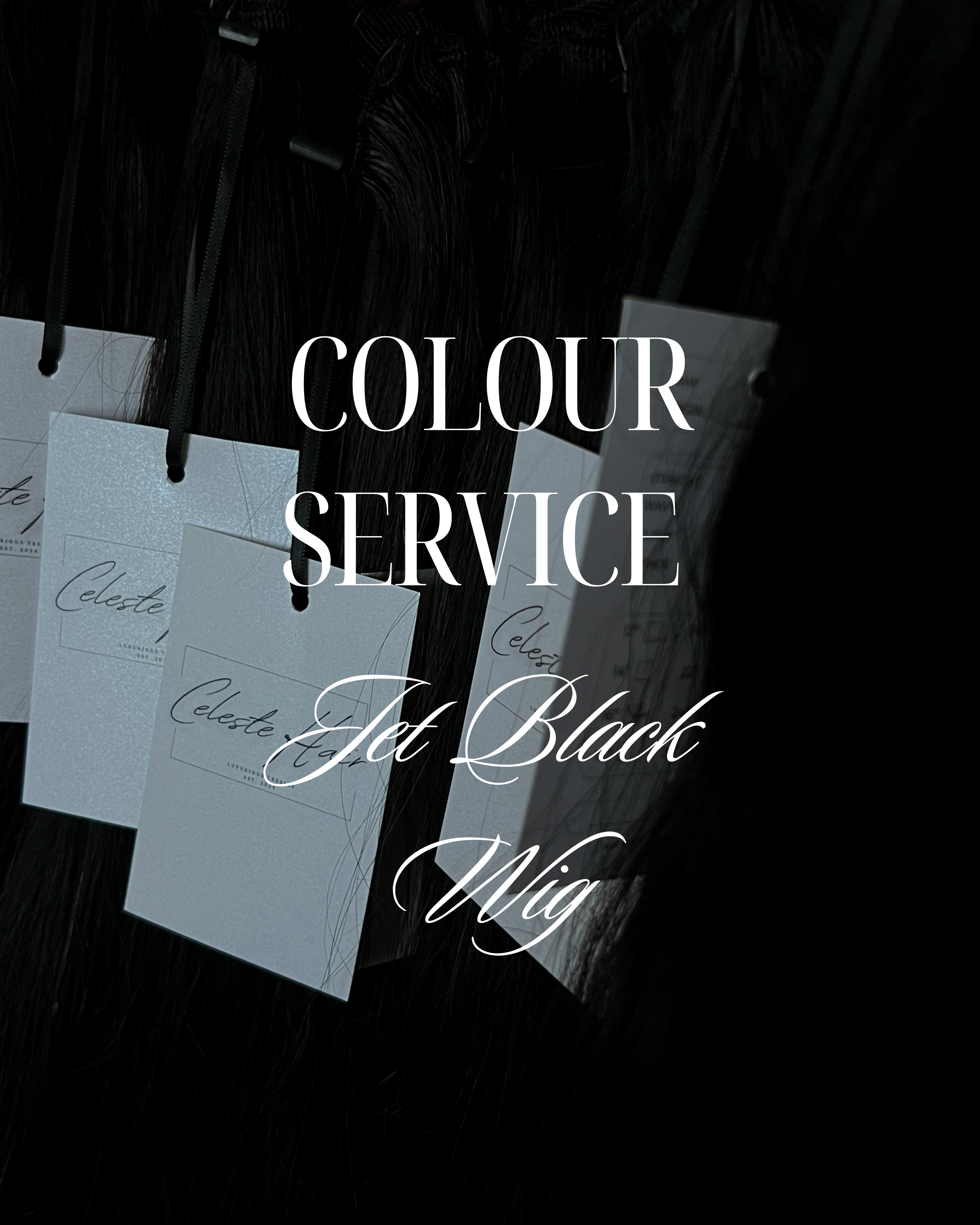 Colour Service | Jet Black | Wig